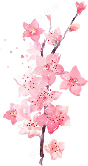 手绘水印桃花化妆品海报