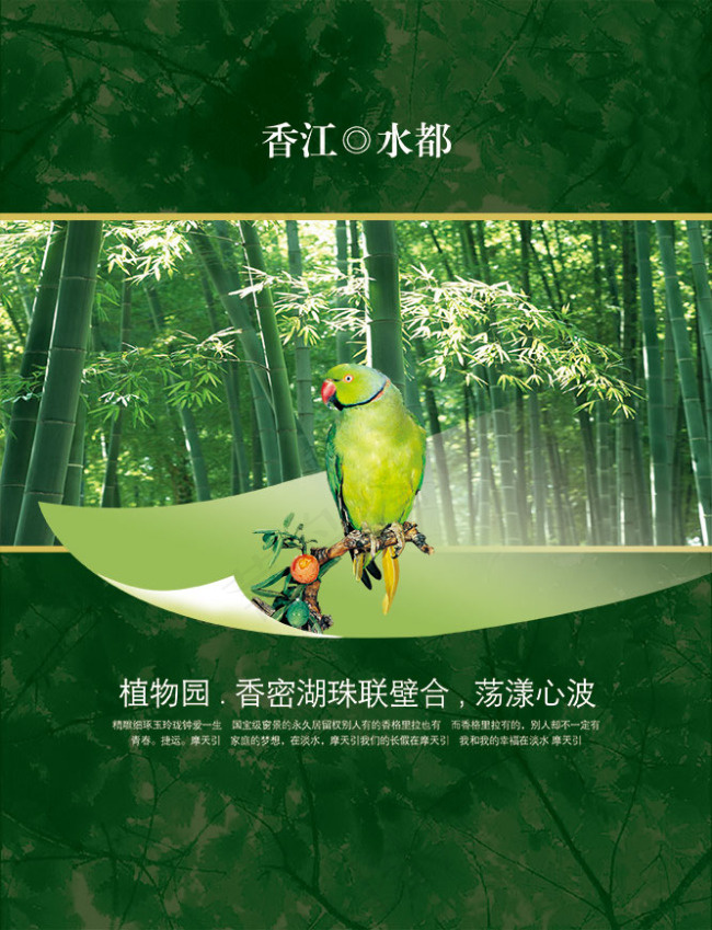 中国风PSD分层素材鹦鹉(2803X3661(DPI:300))psd模版下载