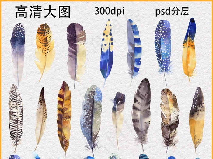 水彩羽毛