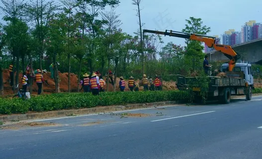 交通建设 道路绿化