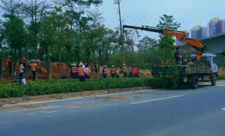 交通建设 道路绿化