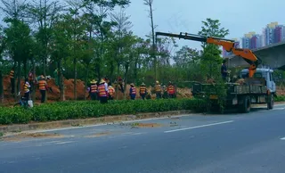 交通建设 道路绿化