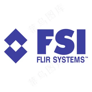 FSI 0