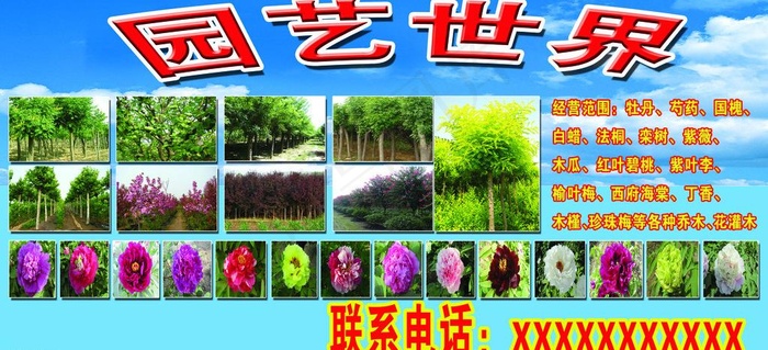 绿化苗木图片psd模版下载