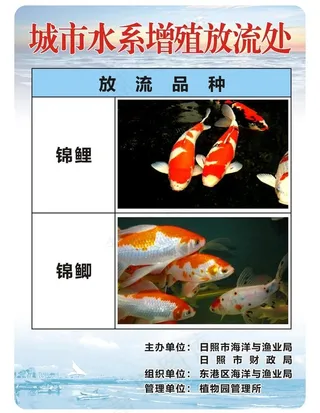 城市水系增殖放流处图片