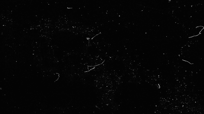 复古怀念照片光晕过渡幻灯片展示ae...