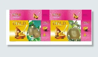 精品猕猴桃包装图片