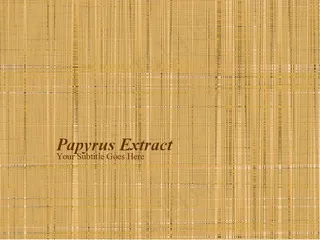 黄色条纹演示模板