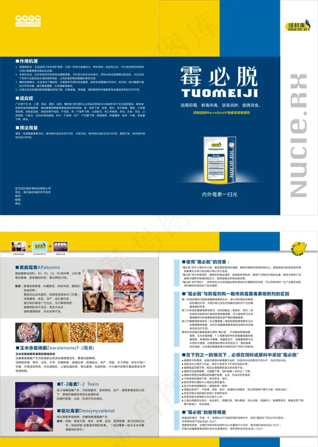 药品宣传单cdr矢量模版下载