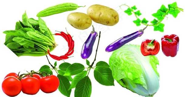 蔬菜 树叶图片 蔬菜 树叶图片