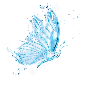 PNG蝴蝶唯美蝴蝶