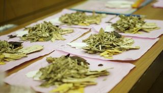 中医药材纸张图片