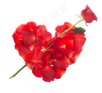 穿过心形花瓣的玫瑰花图片 穿过心形花瓣的玫瑰花图片