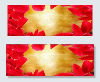 玫瑰 玫瑰花图片