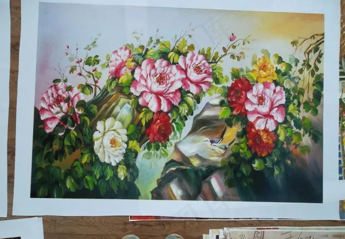 牡丹花图片