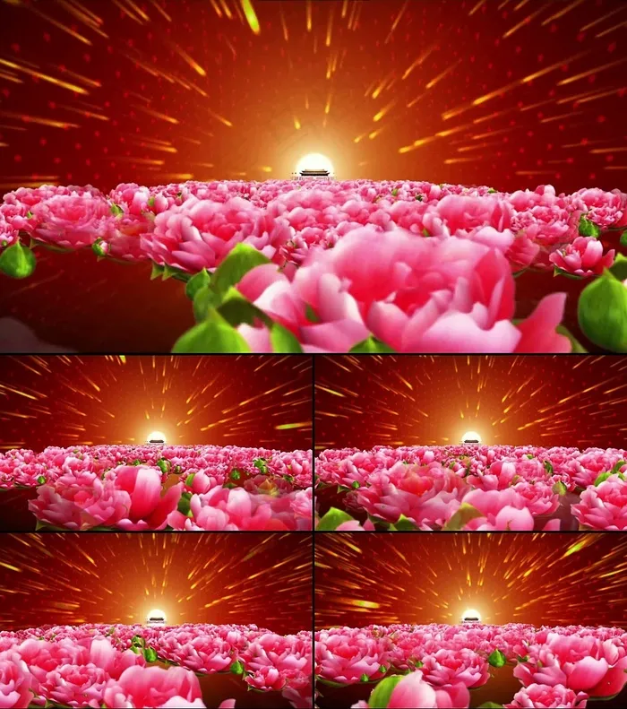 大气晚会开场花海视频