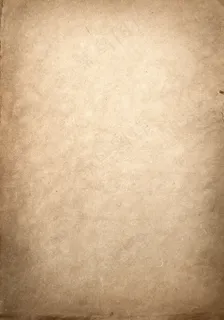 趣味时尚简约转场动画AE模板