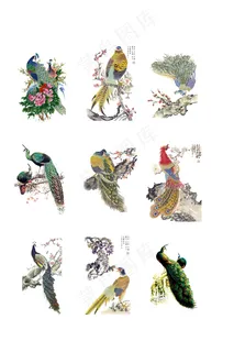 唯美孔雀手绘背景元素