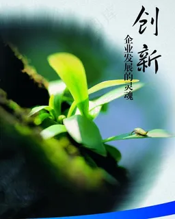 企业文化宣传图片