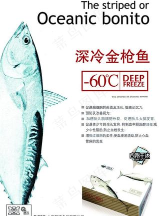 金枪鱼海报设计图片