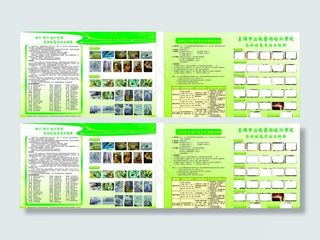 美术培训学校单页