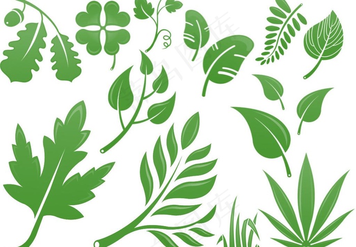 一组树叶笔刷图片