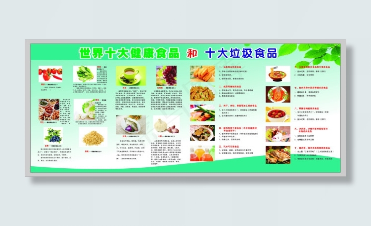 世界十大健康食品和十大垃圾食品cdr矢量模版下载