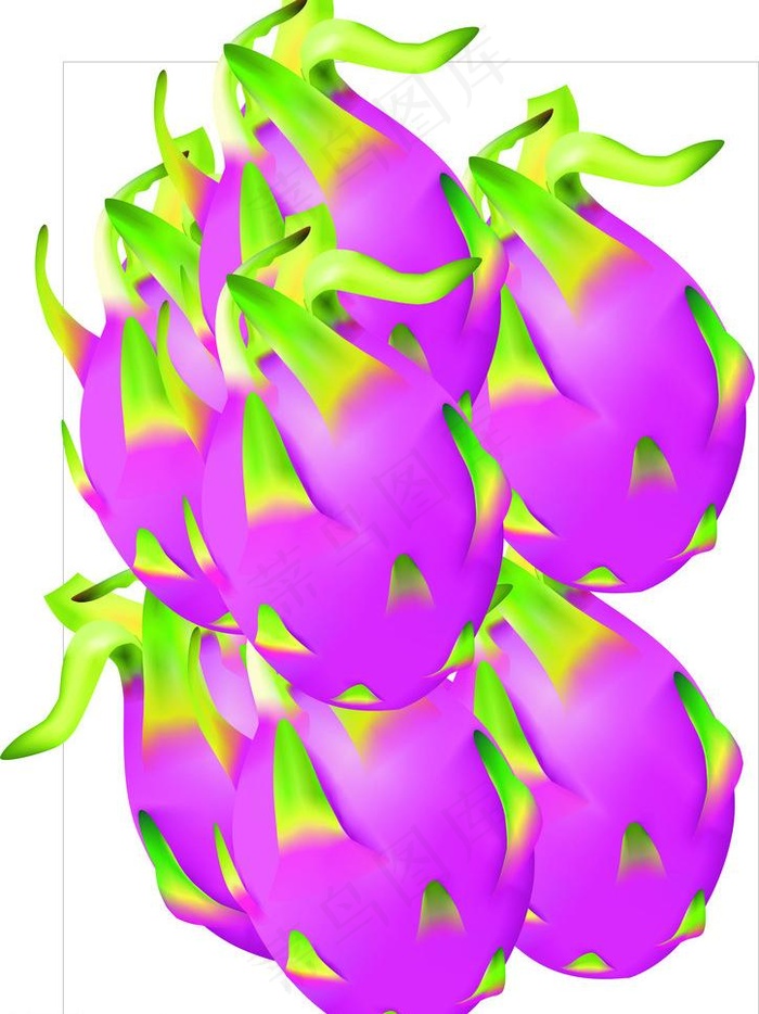 水果 火龙果图片cdr矢量模版下载