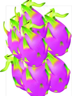 水果 火龙果图片 水果 火龙果图片