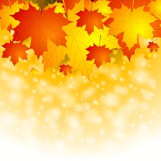 金黄光晕秋天背景矢量素材