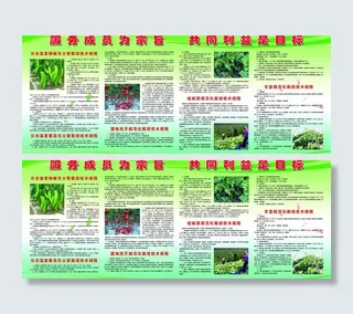 日光温室无公害蔬菜规程 展板图片