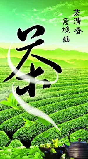 茶叶图片
