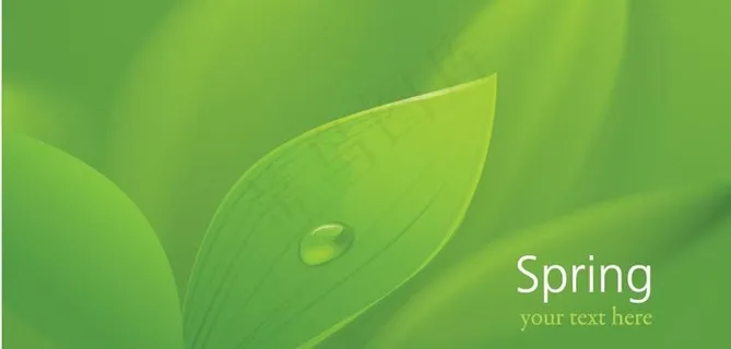 动感绿叶 水滴 水珠 露水图片