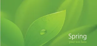 动感绿叶 水滴 水珠 露水图片