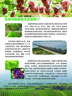 生态农业图片