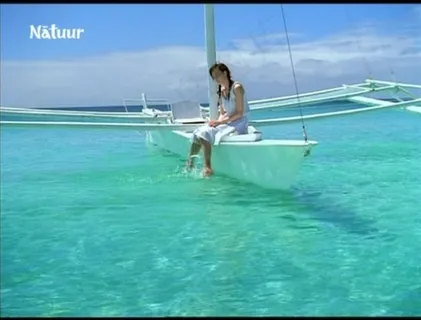 冰激凌宣传广告视频素材