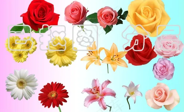 花朵素材图片(8268X5512(DPI:350))psd模版下载