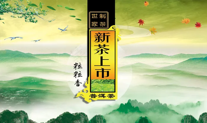 普洱茶新茶上市海报PSD分层(4961X2953(DPI:300))psd模版下载