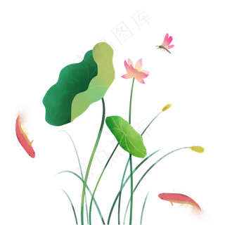 唯美小清新荷花荷叶蜻蜓PNG唯美小清新荷花荷叶蜻蜓PNG