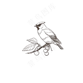 可爱卡通的小鸟免抠