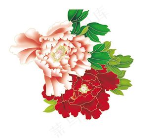 手绘牡丹花图片psd分层素材