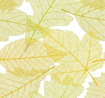 手绘线条树叶背景图片