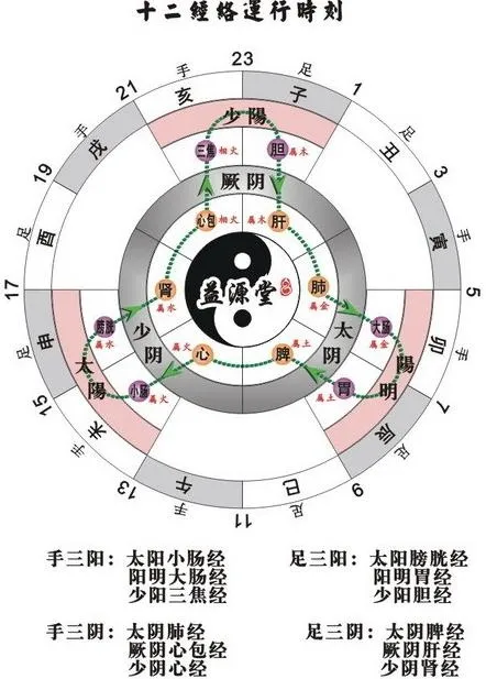 十二经络运行时刻表图片cdr矢量模版下载