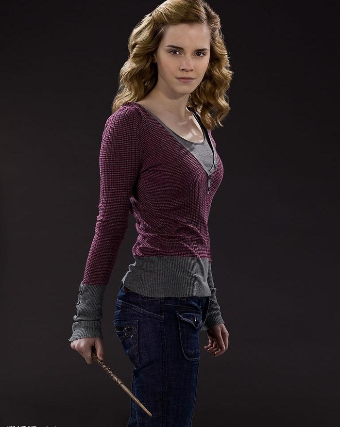 哈利·波特与混血王子 定...