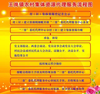 农村集体资源代理服务流程图图片