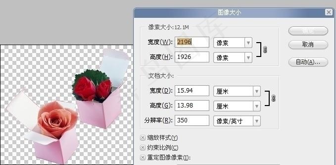 玫瑰图片psd模版下载