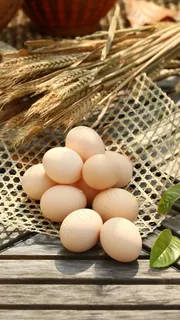 鸡蛋高清摄影图片