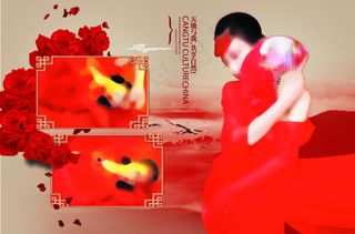 古装写真排版相册高清psd图层下载