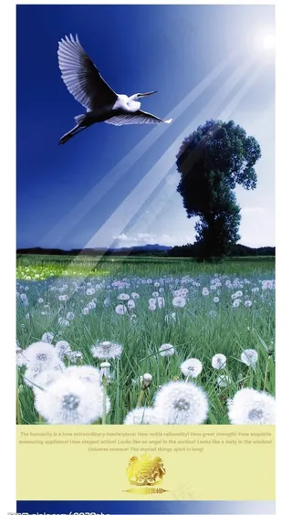 创意风暴精品图片