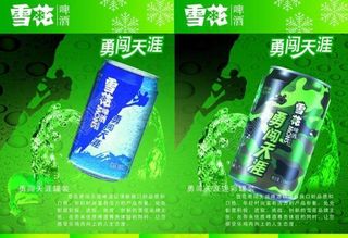 雪花啤酒 内页 画册 设计 勇闯天涯图片